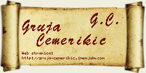Gruja Čemerikić vizit kartica